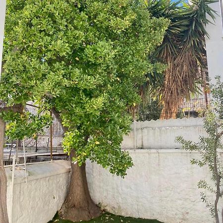 Modern 3Br Maisonette With Garden 10 Min From Acropolis Atenas Exterior foto